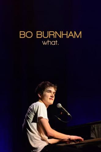 Bo Burnham: What.
