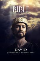 Biblické příběhy: David