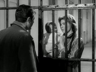 Zmýlená neplatí (1958),Marcello Mastroianni,Gina Rovere
